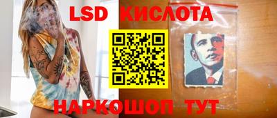 стафф Можга