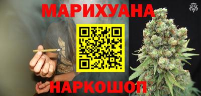 spice Моздок