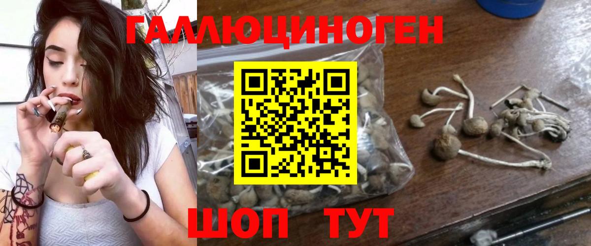 Галлюциногенные грибы прущие грибы  Вход с VPN  Узловая  Галлюциногенные грибы Cubensis 