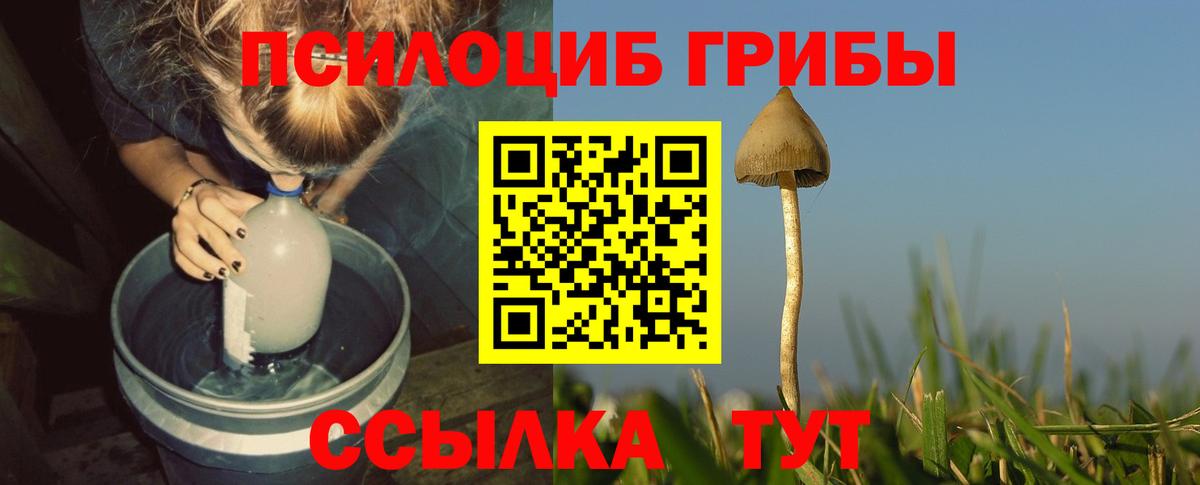 Галлюциногенные грибы Psilocybine cubensis Узловая
